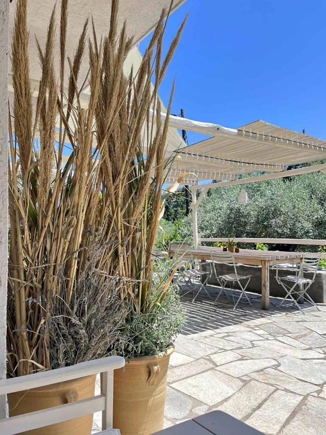 Lithea Villas And Studios By The Sea Agios Petros  Exterior photo